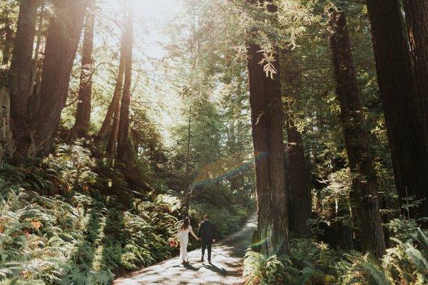 You get the best of the beautiful orchards and the beautiful redwoods.