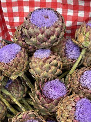 Artichoke flowers.