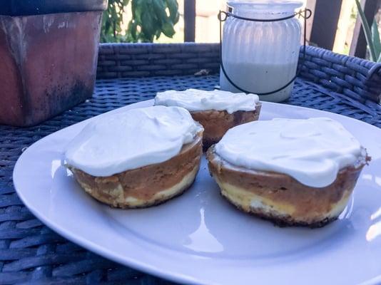 Pumpkin Pie Cheesecake Bites