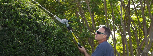 Tree Pro Tree Service