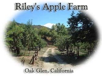 Riley's Apple Farm