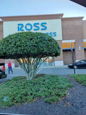 Ross Dress for Less