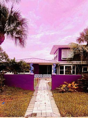 "Purple Rain Purple Sea Dragons" TippyTop Real Estate. (St Pete Beach 4th of July Holiday 2024)