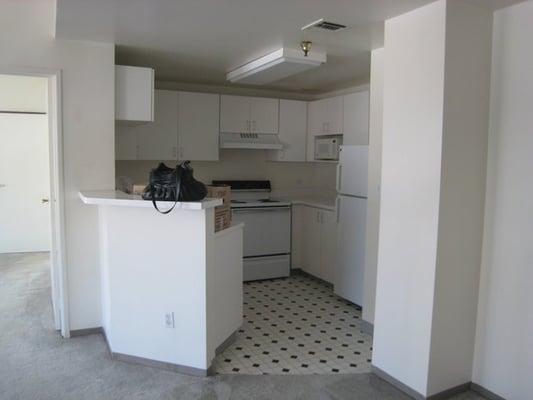 Apartment kitchen