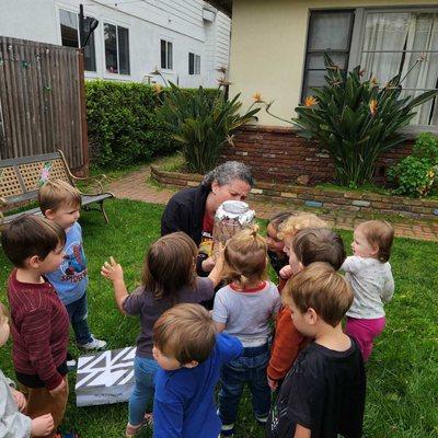 Curious minds exploring nature! Our kids are fascinated by the life cycle of caterpillars and butterflies at Play Ranch Family Child Care.