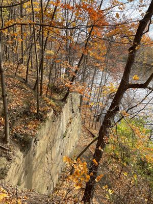 50 foot drop! Ledges and Grand River. Trail takes you to water.