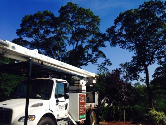 Complete line of equipment for your tree care needs.