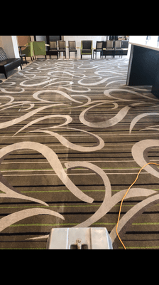 Reliable Carpet Cleaning