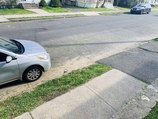 Grass clippings shown scattered all over after Lawn Love Pro blew it to the front and left.