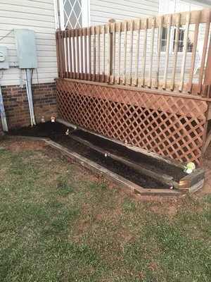 Before and after flower bed