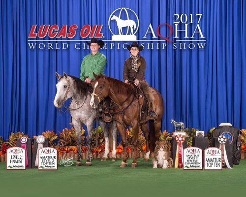 2017 AQHA World Show