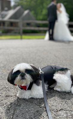 Gary waiting on the side with Mollie while we taking wedding photo