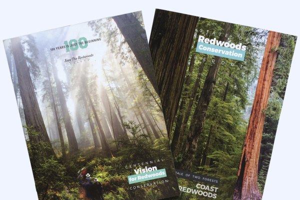 Save the Redwoods League hired Karen Kemp Creative to design their commemorative brochures for their centennial year.