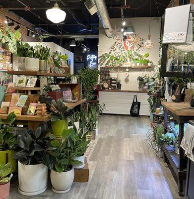 Feature of the store are their plants.