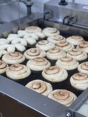 Fresh and hot cinnamon rolls.