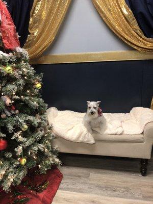 I Love their Christmas tree and ornaments. Chiple love their soft blanket and chair. 12/22/2018