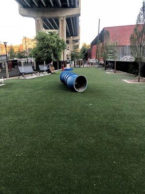 Taken from the very end of the park. Artificial turf and agility tunnel.