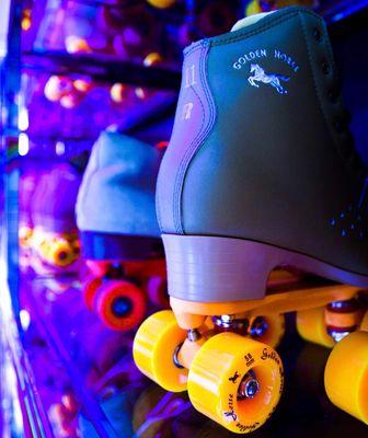 Roller and Ice skating combine