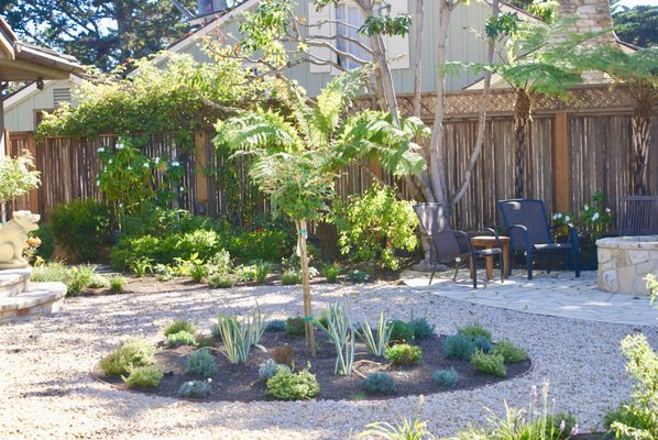 Lawn replacement in Carmel-by-the-Sea.  Just planted and gravelled.