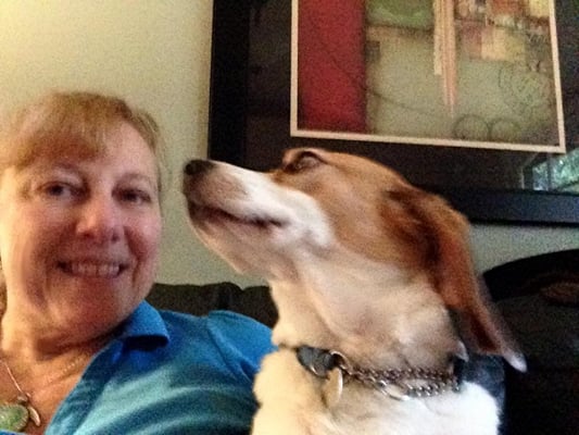 Pam & Beagle Bailey...