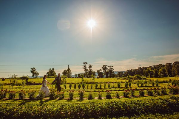 Stop and smell the flowers while walking through our expansive organic garden!