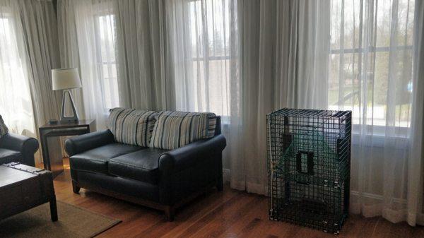 Living room with lobster trap.