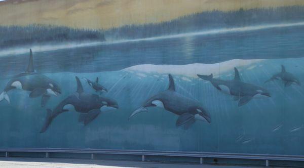 Orcas Passage #74 by the Wayland Foundation 1997