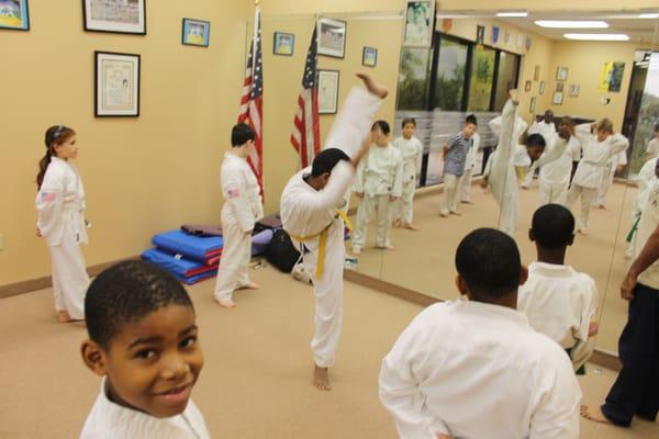 Tae Kwon Do Program