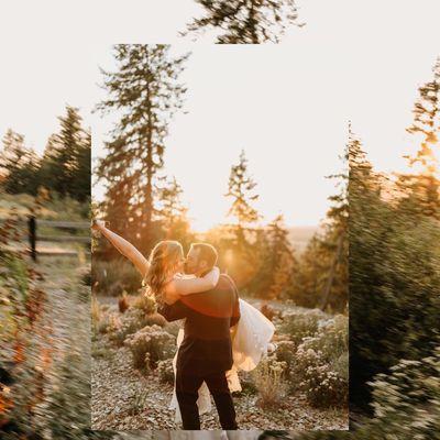 Wildflower forest sunset @baileyalexphoto