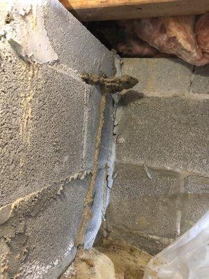 Termite swarm castle in crawlspace.