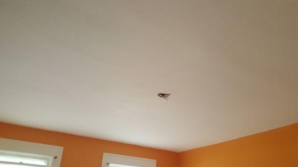 ceiling after