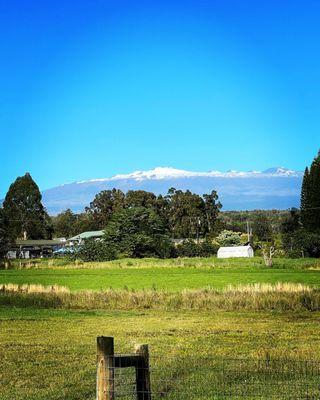 View of Mauna Kea from Waiakea Uka