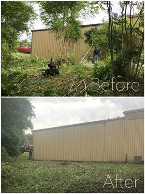 Before and after on a commercial property in Nashville, using our Forestry Mulcher and hand cutting