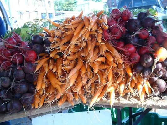 Bushels and pecks...so many carrots