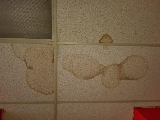 Mold on drop ceilings from neglection and leaking through onto clients.