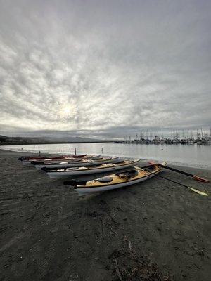 Kayaking in half moon bay