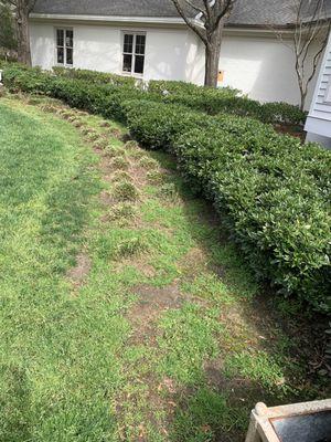 US Lawns sent an email to me saying they walked my property, and didn't see anything wrong with it.