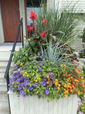 Planter box with many colors and textures.  Hoch's Landscaping 2022