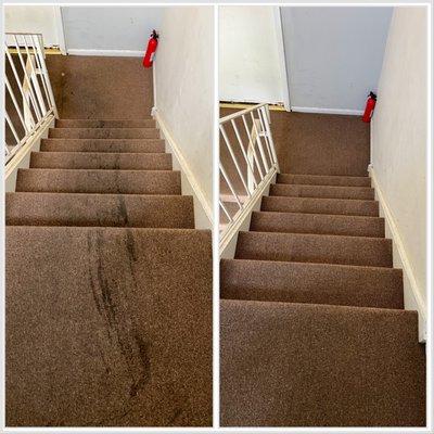 Supreme Carpet & Upholstery Cleaning