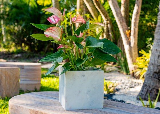 White marble orchid pot