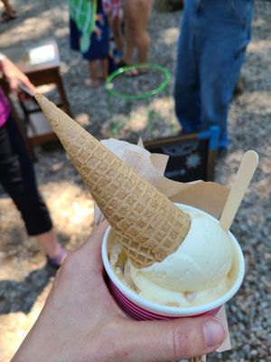 Heads up! If you pay extra for a cone on top they will withhold the pizzelle that you would have received for free with your ice cream!