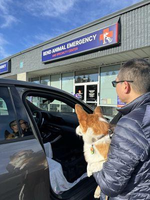 Bend Animal Emergency and Specialty Center