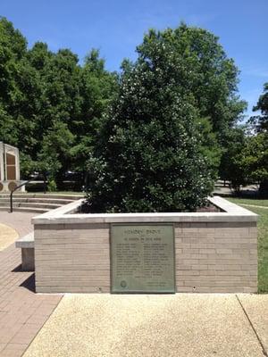 06-07-12; Veterans Plaza @ Overton Park, Memphis TN