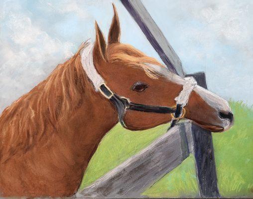 California Chrome begging for his favorite cookies.  Painted from a visit with him at Taylor Made in Nicholasville, KY.