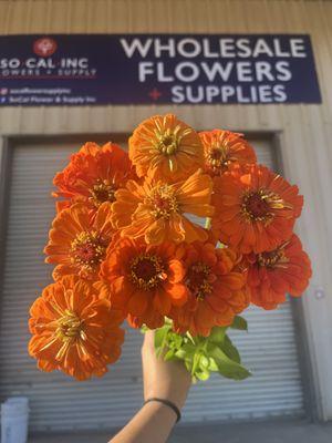 So Cal Flowers & Supply