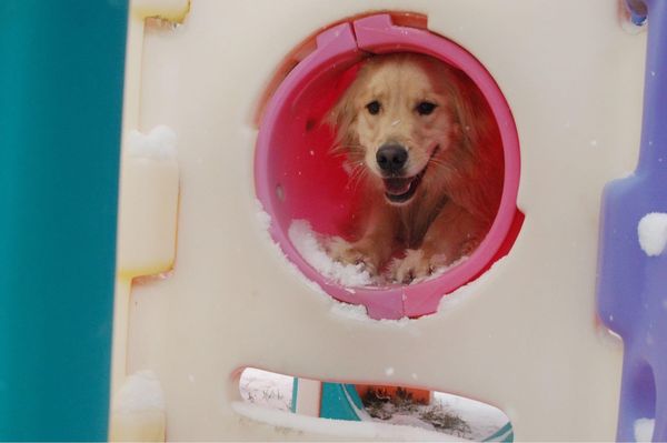 Molly P. playing PEEKABOO on the playground.