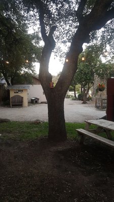 Plenty of seating outside next to the oak trees