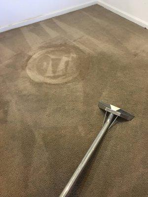 carpet cleaning