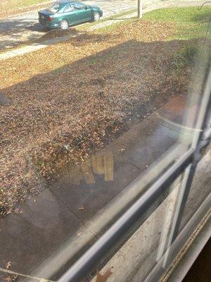 Our sidewalk was filled with leaves and Affordable Gutter cleaned the sidewalk after finishing their gutter cleaning!