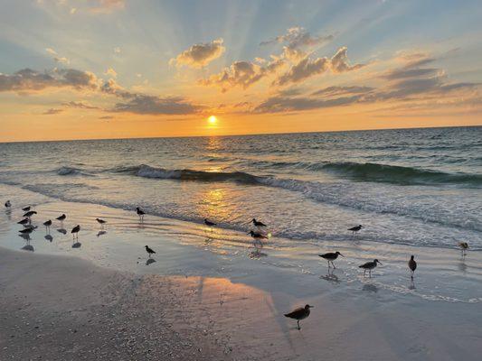 Belleair Beach sunset